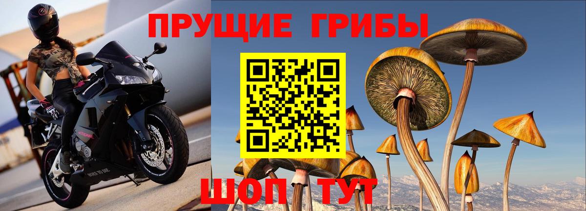 Галлюциногенные грибы ЛСД  Вход с VPN  Котовск  Галлюциногенные грибы прущие грибы 